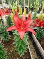 [5014 TinyHope No01.JPG]